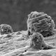 Illustration for article titled Explorers discover a lost civilization frozen in tiny sodium crystals